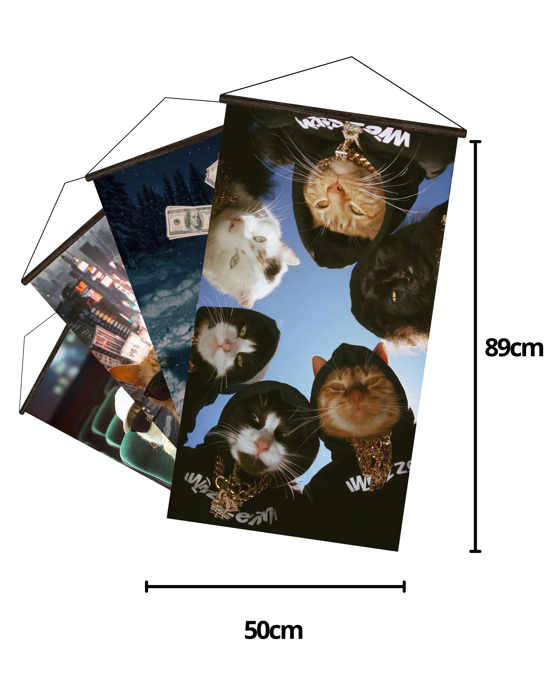 Pósters Gatos – Colección Street Cats