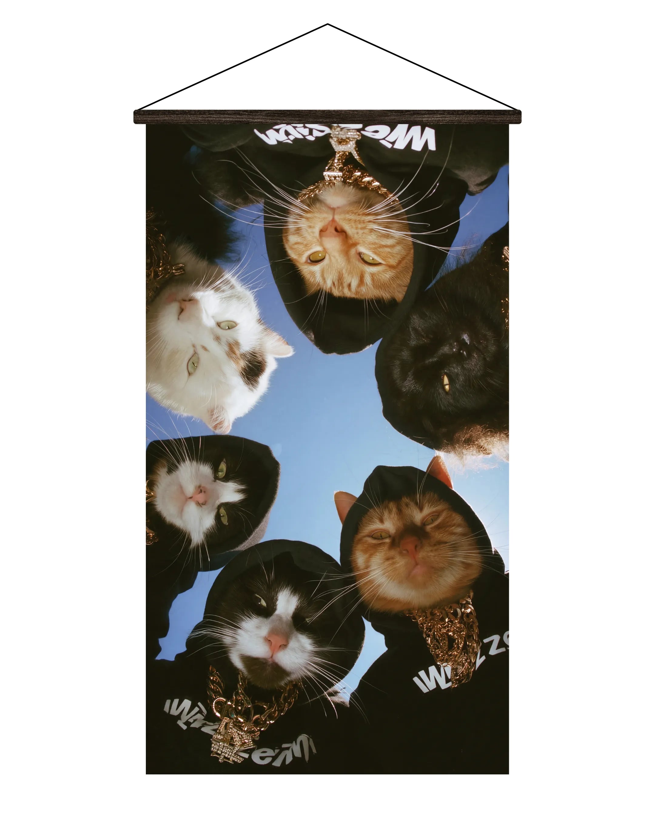 Pósters Gatos – Colección Street Cats