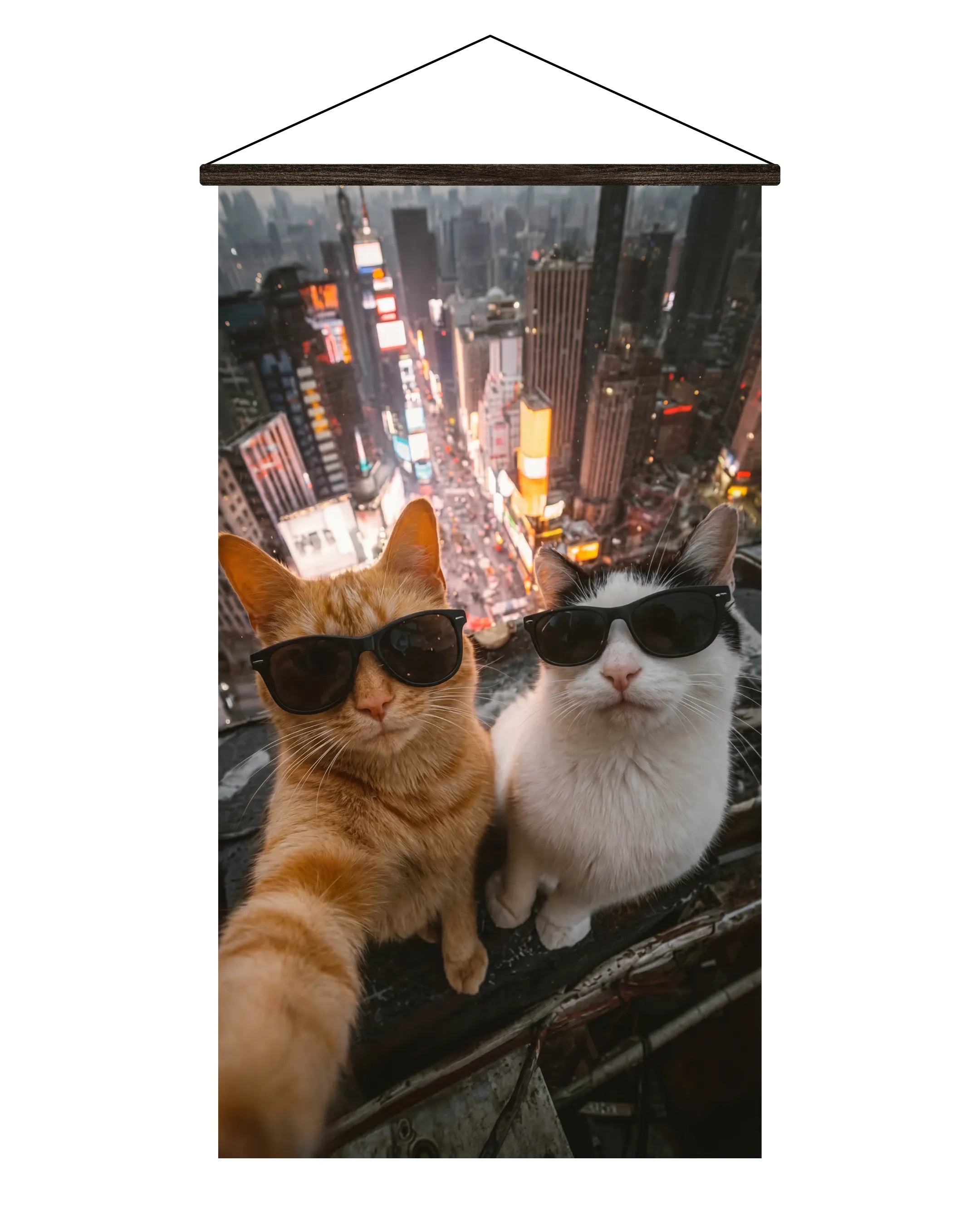 Pósters Gatos – Colección Street Cats