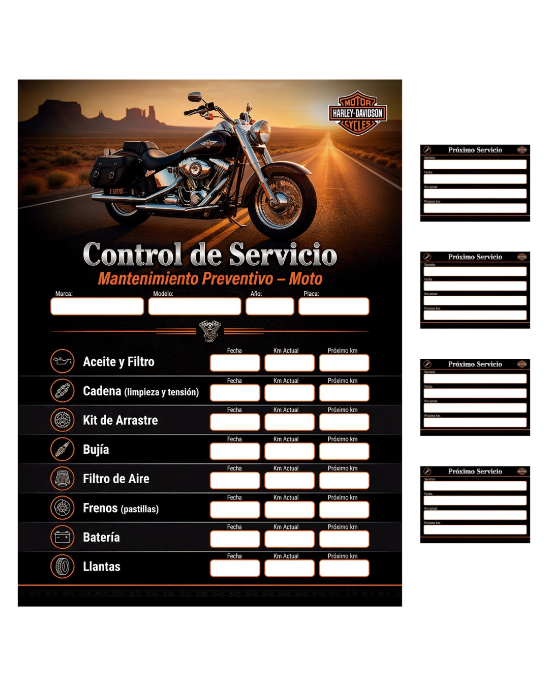 Kit Adhesivo Control de Servicio – Moto