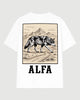 Ropa