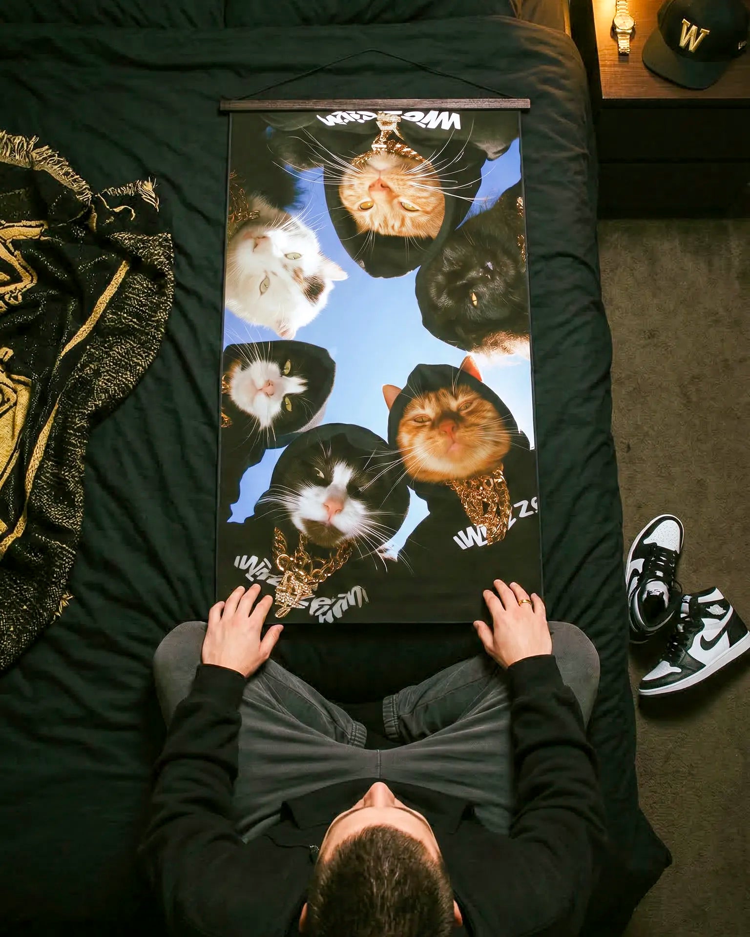 Pósters Gatos – Colección Street Cats