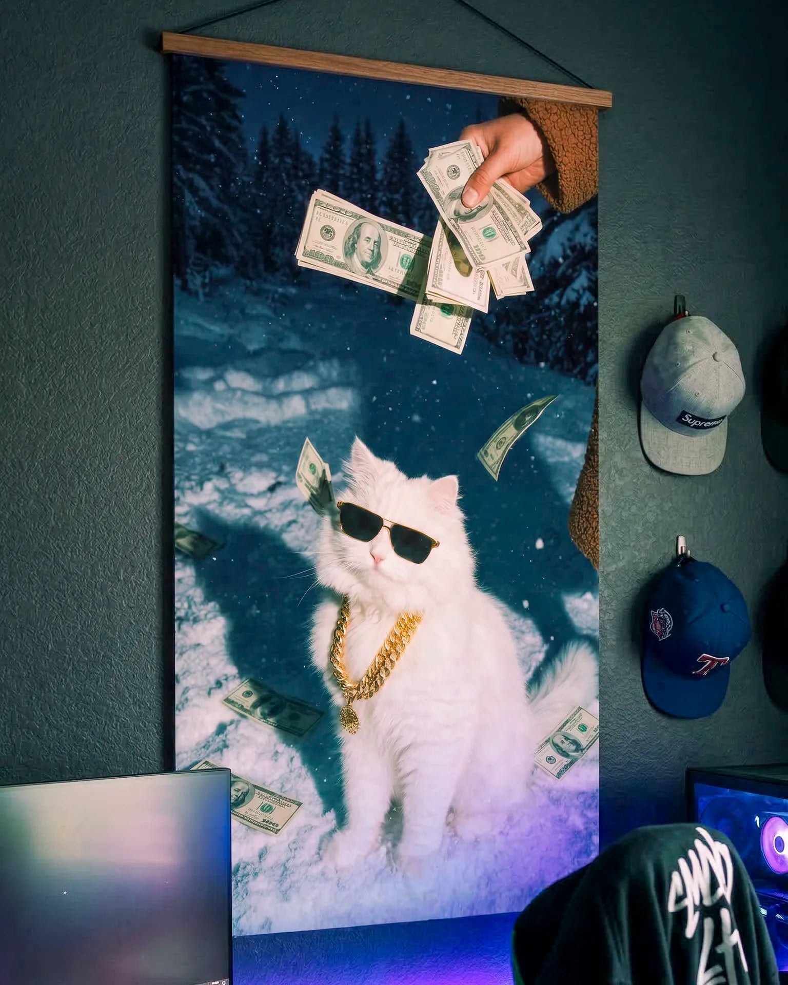 Pósters Gatos – Colección Street Cats