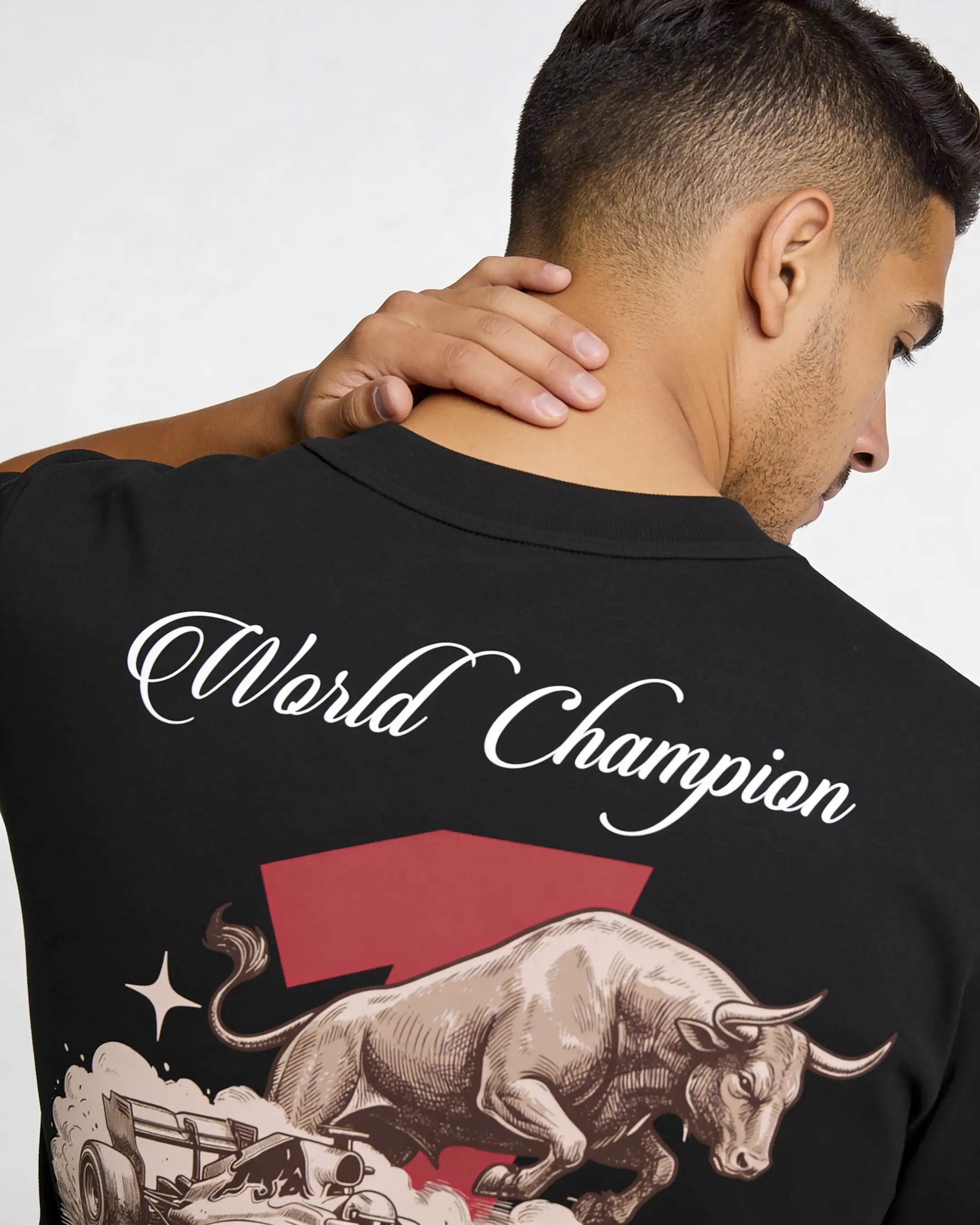 Playera World Champion Red Bull – Formula 1
