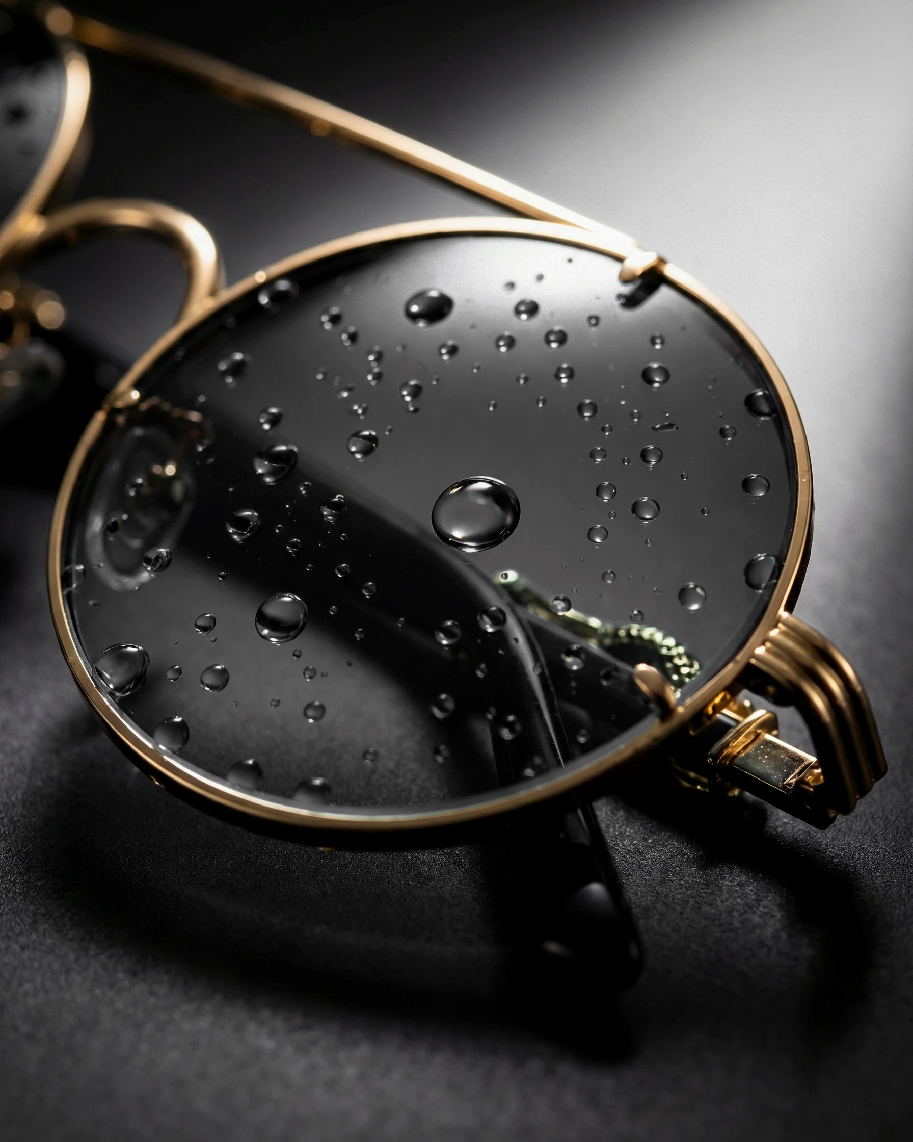 Javari – Lentes con Elegancia Salvaje