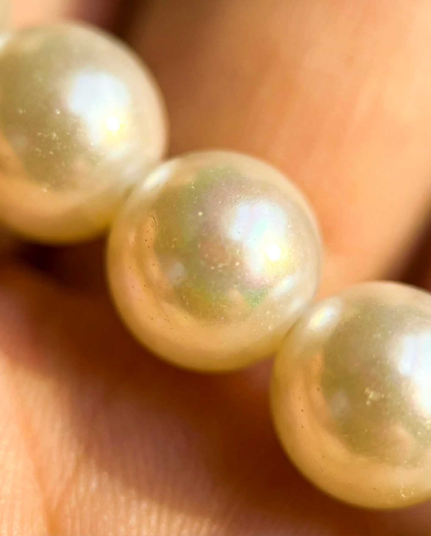 Collar Bad Angel – Vuela sin pedir permiso