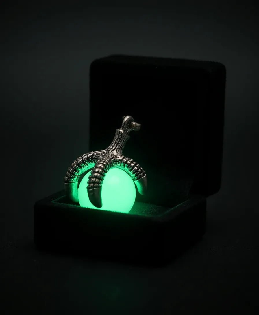 Collares Luminosos - El Rincón